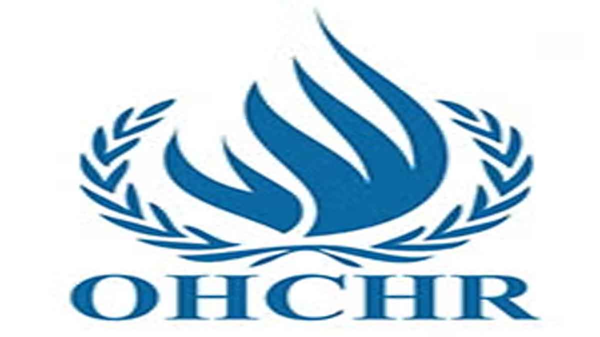ohchr, delhi-protest