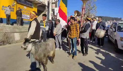 धर्म के नाम पर पशु बलि, सुप्रीम कोर्ट ने केंद्र सरकार से जवाब तलब किया