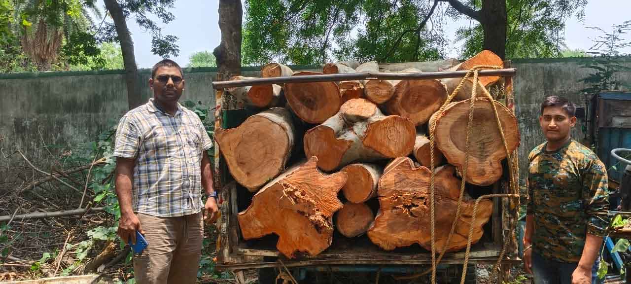 जामताड़ा : अवैध लकड़ी तस्करी पर वन विभाग सख्त, अर्जुन लकड़ी से लदा टाटा पिकअप वाहन जब्त