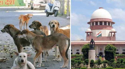 SC का आवारा कुत्तों को हटाने के अपने पूर्व के आदेश में बदलाव करने से इनकार, सभी याचिकाएं खारिज
