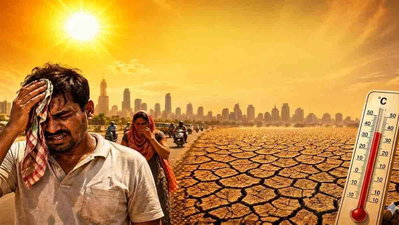 मौसम वैज्ञानिक अल नीनो-आईओडी के खतरनाक कॉम्बिनेशन को लेकर चिंतित, जल संकट, सूखा पड़ने का खतरा