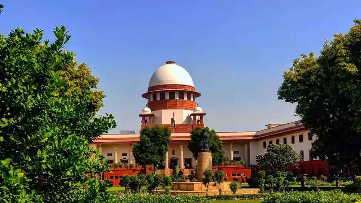 SC, OBC creamy layer