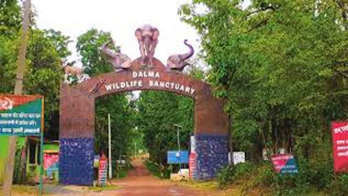 दलमा आश्रयणी में बने अवैध निर्माण और टूरिज्म कॉटेज को तोड़ने का आदेश