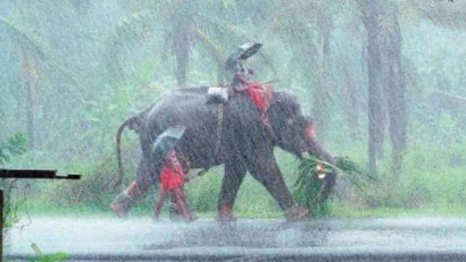 मानसून ने केरल में दस्तक दी, तेज बारिश शुरू, बिहार-झारखंड में 12-15 जून को होगा सक्रिय
