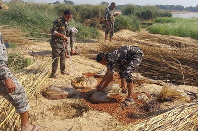 पलामूः अवैध शराब निर्माण के खिलाफ पुलिस का छापा, 1425 किलो जावा महुआ नष्ट