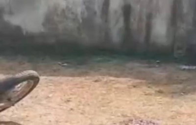 जमशेदपुरः गोलमुरी थाना से 50 मीटर दूर फल व्यवसायी को मारी गोली, टीएमएच में भर्ती