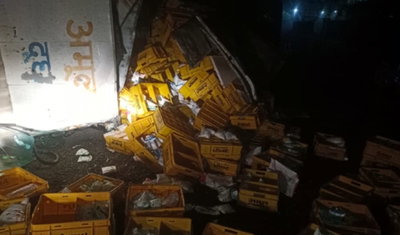 रामगढ़ः दूध लदा वाहन पलटा, चालक-खलासी घायल