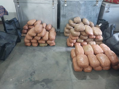 लातेहारः पुलिस ने कार से 92 किलो गांजा किया बरामद