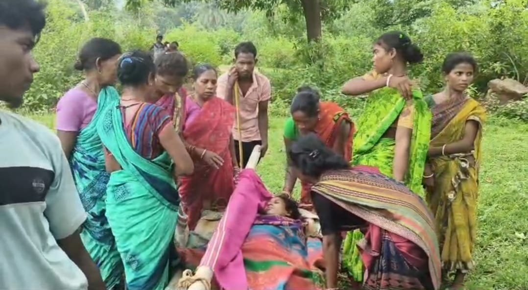 Giridih News : गांव में सड़क नहीं, गर्भवती को खाट पर लादकर अस्पताल ले गए परिजन