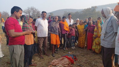 लातेहार में दो महिलाओं की मौत, एक को हाथी ने मारा, दूसरी दुर्घटना की शिकार