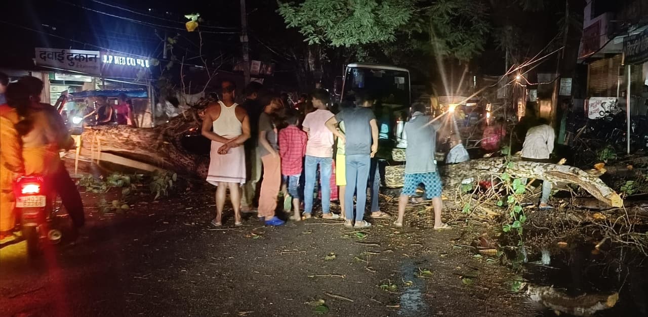 Palamu News : आंधी-बारिश का कहर, रेलवे ट्रैक पर पेड़ गिरा, हैदरनगर में युवक की मौत
