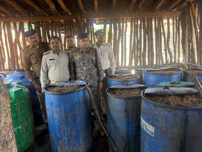 गिरिडीहः ड्रोन कैमरे में दिखा अवैध शराब कारोबार, 1100 किलो जावा महुआ व 570 लीटर शराब नष्ट