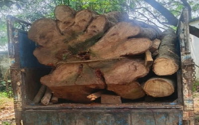 Jamtara News : अवैध लकड़ी लदा पिकअप जब्त, जांच में जुटा वन विभाग