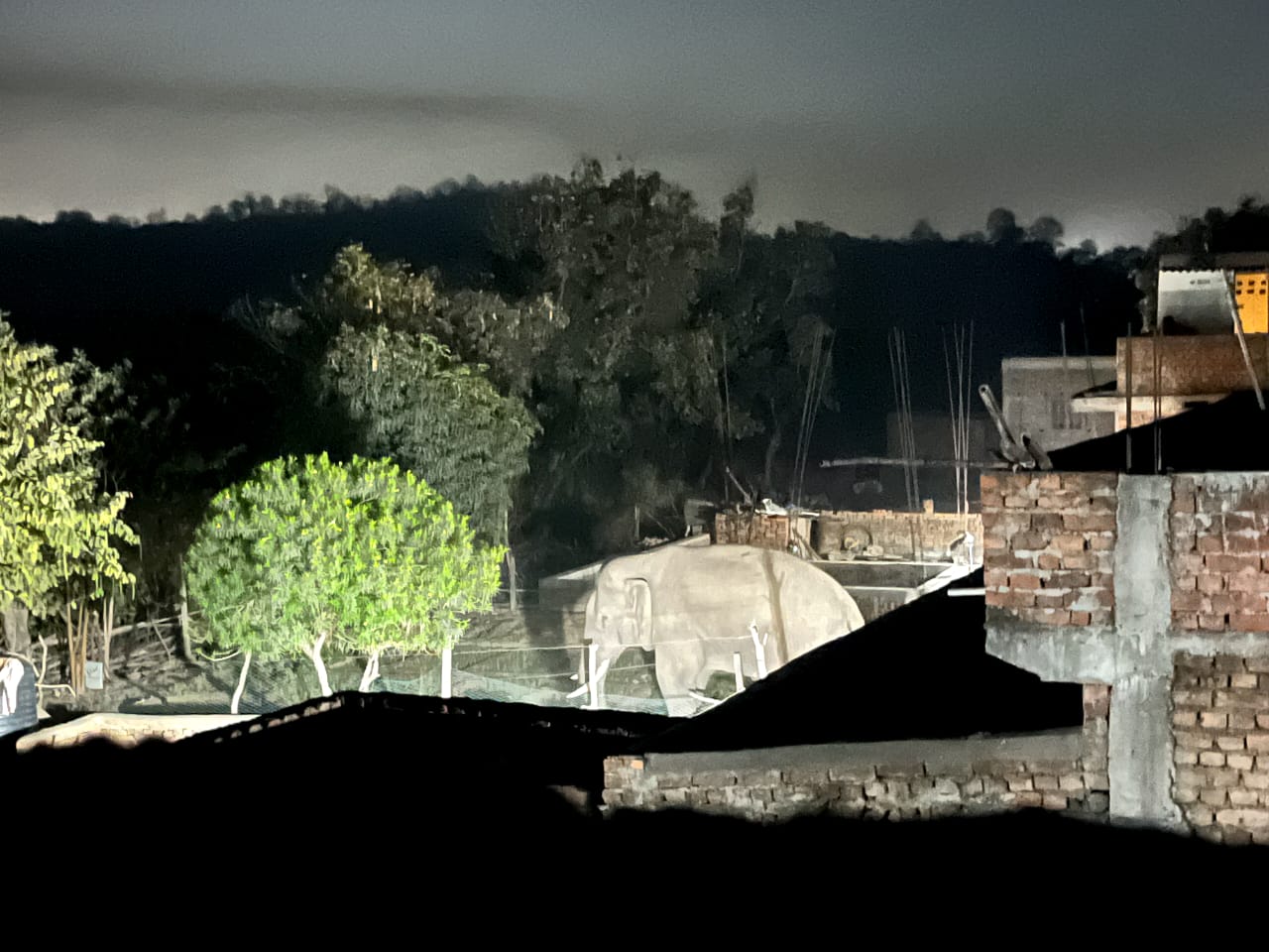 रामगढ़ः चितरपुर में फिर हाथियों का उत्पात, कई घर क्षतिग्रस्त, गांव में दहशत