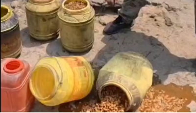 Hazaribagh News : उत्पाद विभाग का छापा, 600 किलो जावा महुआ व 150 लीटर शराब नष्ट