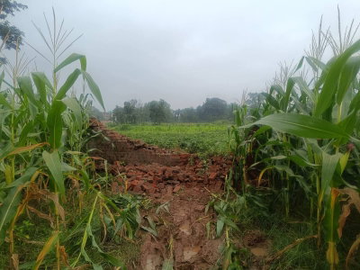 Ramgarh News : बड़कीपोना में तबाही मचाने के बाद सरैया पहुंचा हाथियों का झुंड, लोगों में दहशत