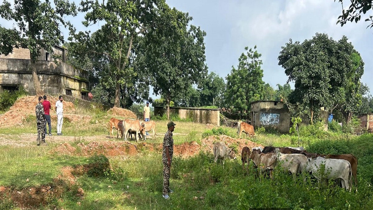 Gumla News : भरनो में बजरंग दल कार्यकर्ताओं ने 27 पशुओं को कराया मुक्त, पुलिस को सौंपा
