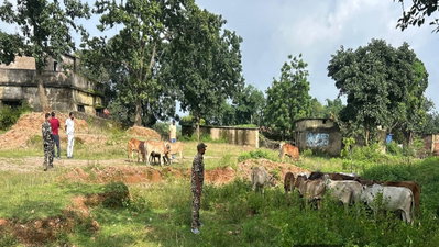 Gumla News : भरनो में बजरंग दल कार्यकर्ताओं ने 27 पशुओं को कराया मुक्त, पुलिस को सौंपा