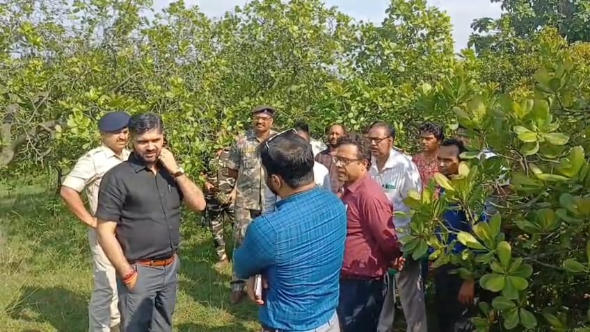 Jamtara News : नाला का काजू बनेगा जिले की पहचान, प्रोसेसिंग प्लांट की तैयारी तेज करने का निर्देश