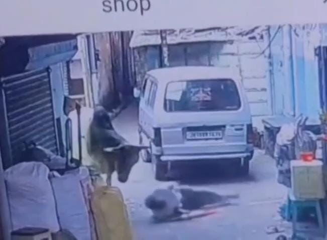 Dhanbad News : झरिया में सांड का आतंक, हमले में घायल व्यवसायी की अस्पताल में मौत
