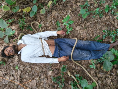 Jamtara News : जंगल में पेड़ से लटका मिला युवक का शव