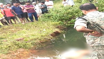 Giridih News : दूधपनिया में पानी से भरे गड्ढे में मिला बुजुर्ग का शव