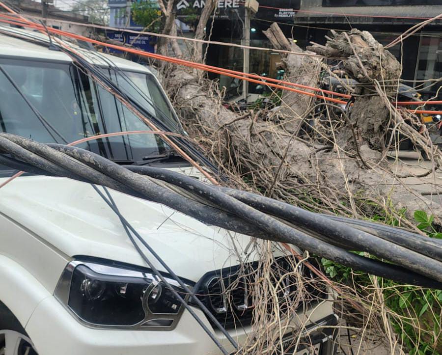 पलामू में बदला मौसम, बूंदाबांदी व ठंडी हवाओं ने गर्मी से दी राहत