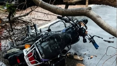 गिरिडीहः बारिश में सड़क पर गिरा पेड़, दबकर बाइक सवार की मौत, दो लोग घायल