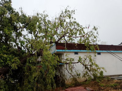 चतराः आंधी-पानी ने मचाई तबाही, दोपहर में छाया अंधेरा, कान्हाचट्टी में घर पर गिरा पेड़