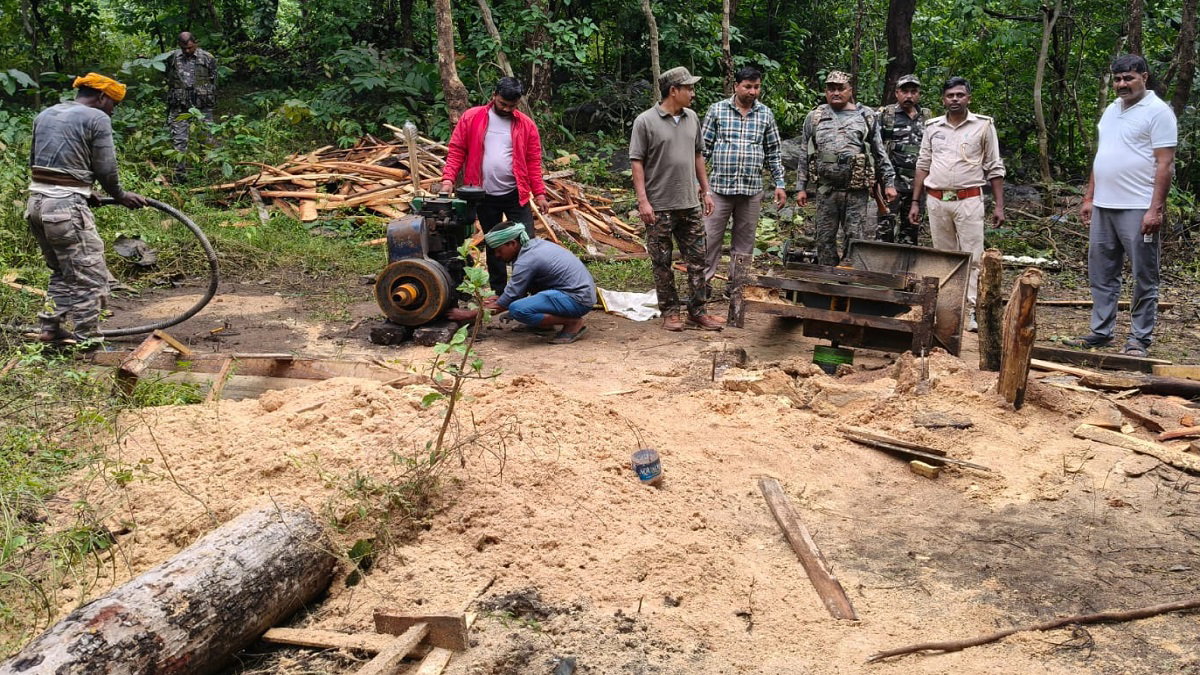 illegal sawmill