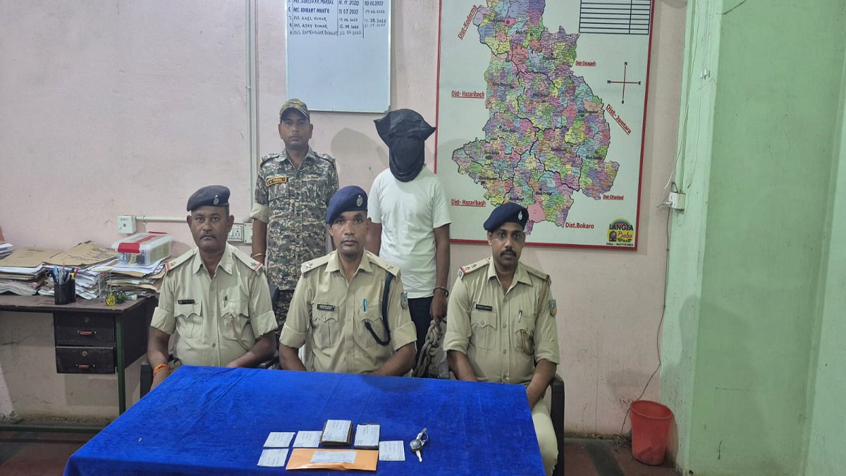 Cybercriminal arrested