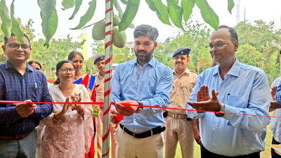 Jamtara News : समाहरणालय परिसर में आम बिक्री केंद्र का शुभारंभ, डीसी ने किया उद्घाटन