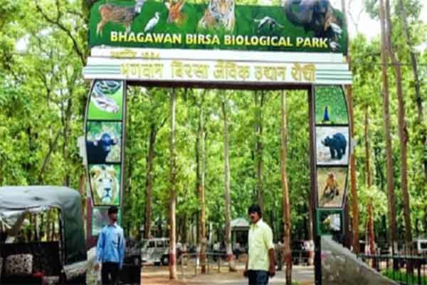 बिरसा मुंडा चिड़ियाघर में मांस आपूर्ति का टेंडर निकला, वर्तमान सप्लायर फरार