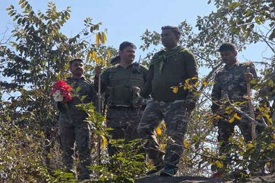 हजारीबाग : अवैध अफीम की खेती पर कार्रवाई, करीब दो एकड़ फसल नष्ट