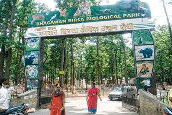 बिरसा मुंडा चिड़ियाघर में बिना टेंडर के ही खरीदी गयी 90 लाख के पेवर ब्लॉक व अन्य सामग्रियां