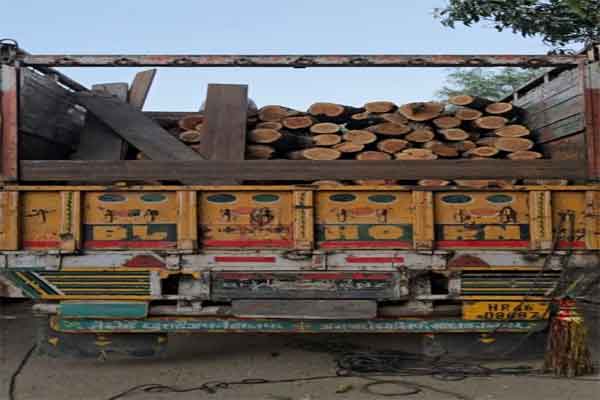 पलामू : लाखों की लकड़ी जब्त, हरियाणा के नंबर वाले ट्रक से हो रही थी तस्करी