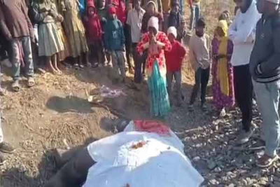 लातेहार : मालगाड़ी की चपेट में आने से हाथी के बच्चे की मौत, आज होगा पोस्टमार्टम