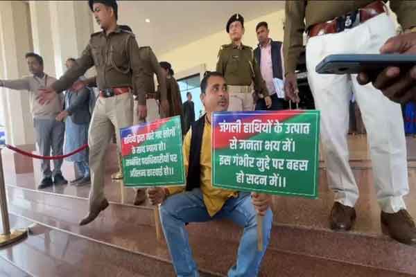 झारखंड विस बजट सत्र: मांडू विधायक ने दिया धरना, हाथियों के हमले से मौत पर सरकार को घेरा