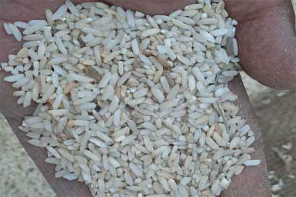 सरकारी गोदाम में 3694 क्विंटल चावल सड़ा, 60 क्विंटल चीनी पानी में बहा