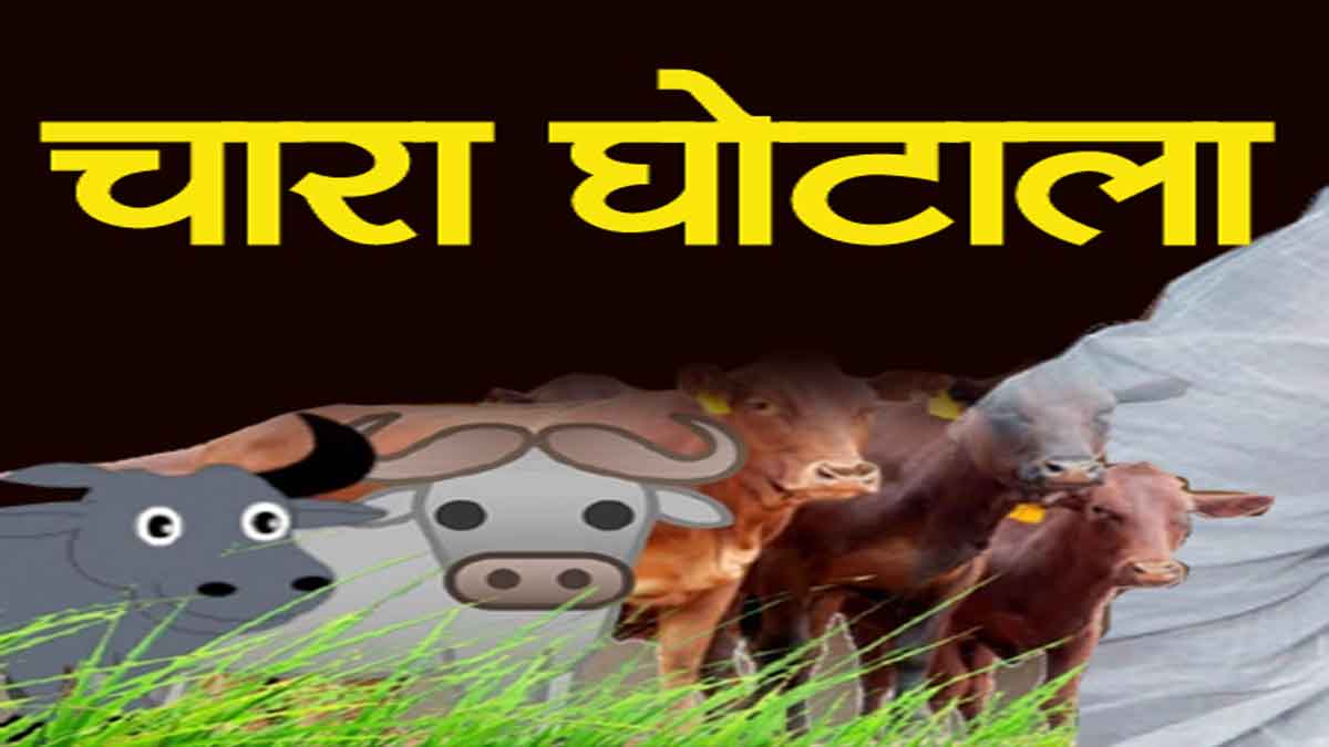 Fodder Scam