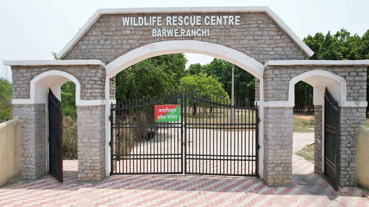 Wildlife hospital