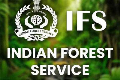 झारखंड कैडर लेकर युवा IFS परेशान, पोस्टिंग अटकी, वरिष्ठ अफसर प्रतिनियुक्ति के मूड में