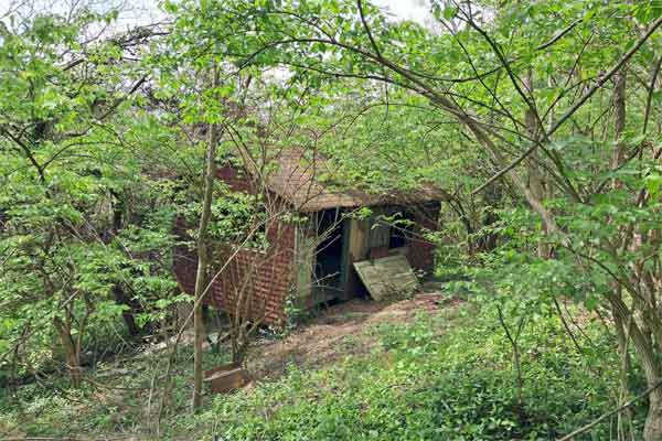 20 साल बाद भी अधूरा वन अधिकार: झारखंड में हजारों आदिवासी परिवार व ग्राम सभाएं पट्टे की प्रतीक्षा में