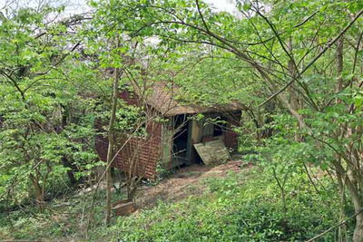 20 साल बाद भी अधूरा वन अधिकार: झारखंड में हजारों आदिवासी परिवार व ग्राम सभाएं पट्टे की प्रतीक्षा में