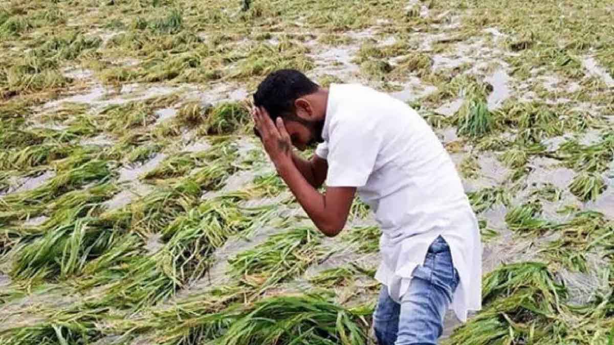बारिश से हुए नुकसान की जानकारी तुरंत दे जिला प्रशासन, सरकार देगी मुआवजा
