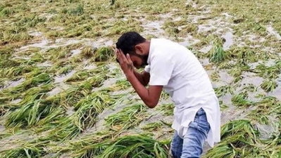 झारखंड में भारी बारिश के बीच आपदा विभाग की तैयारी तेज, DC को नुकसान का जायजा लेने का निर्देश