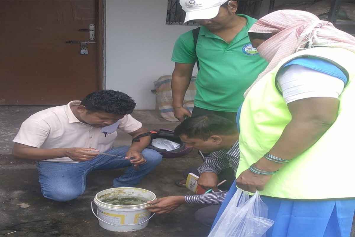 Uploaded Image