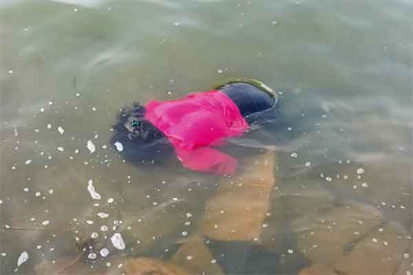 रांची: हटिया डैम में तैरता मिला युवती का शव, जांच में जुटी पुलिस