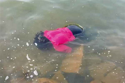 रांची: हटिया डैम में तैरता मिला युवती का शव, जांच में जुटी पुलिस