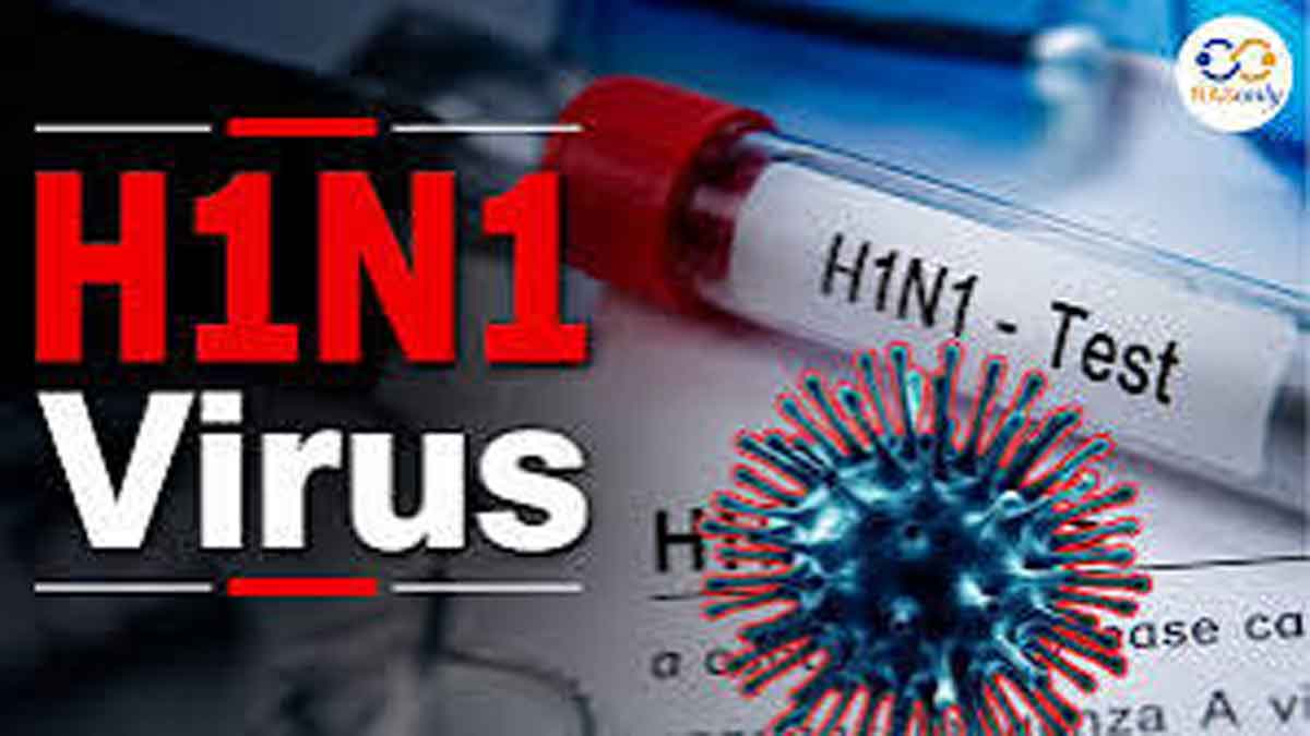 H1N1-H3N2 को लेकर झारखंड में अलर्ट, अस्पतालों में तैयार होगा 10 बेड का आइसोलेशन वार्ड